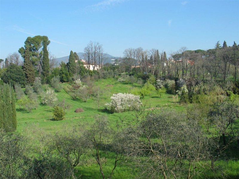 Villa Ulivi 佛罗伦萨 外观 照片